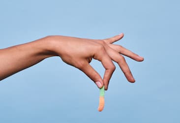 Penguin CBD | Key Benefits of Our Fiber Gummies