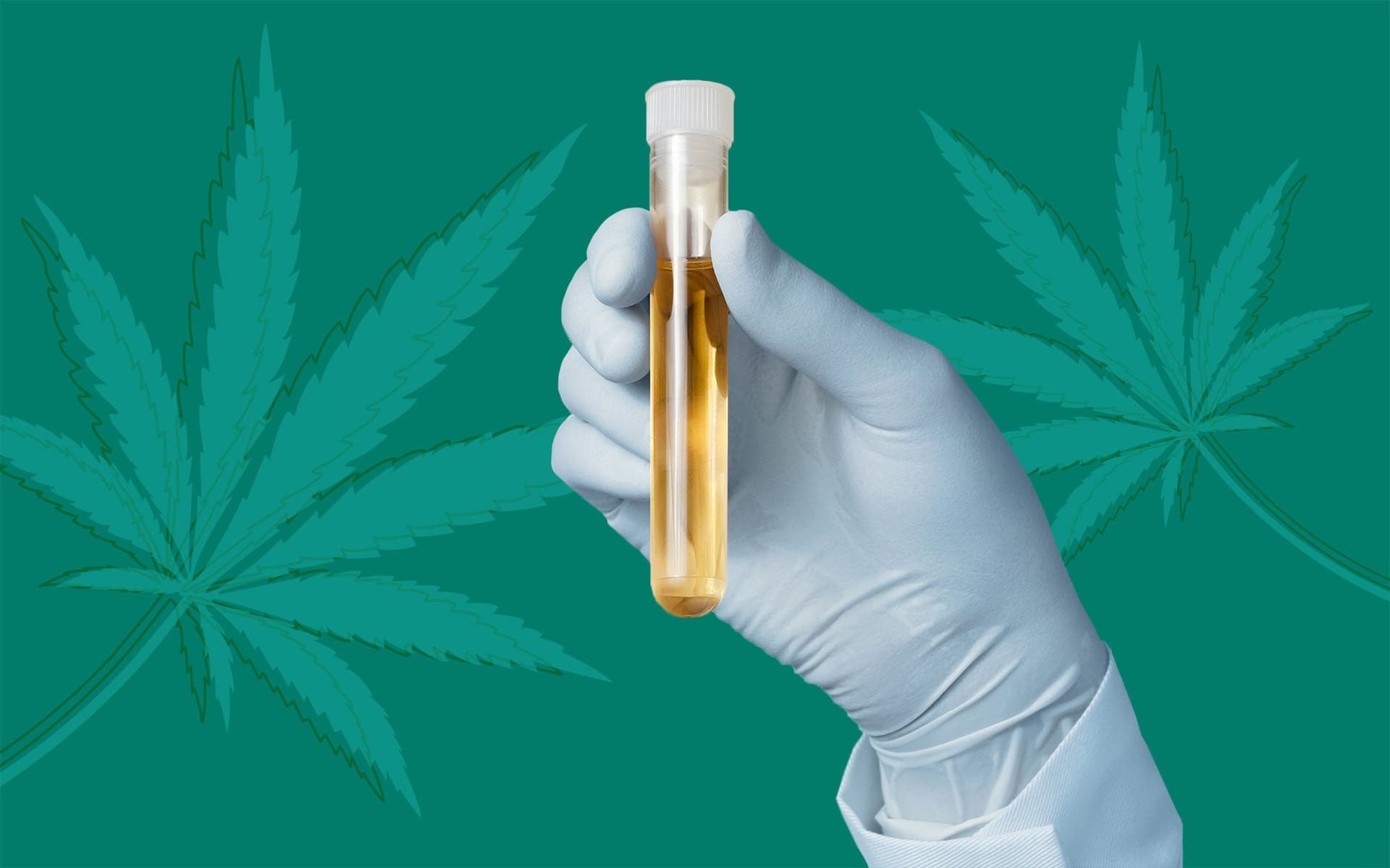 cbd drug test