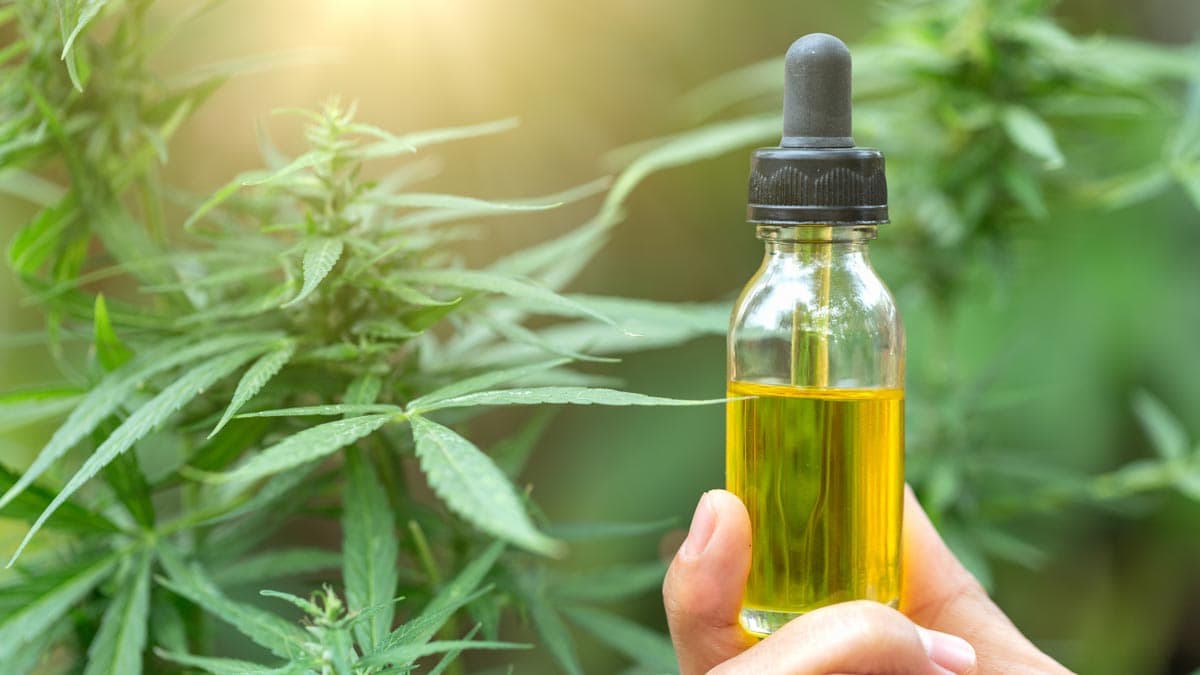 best cbd oil