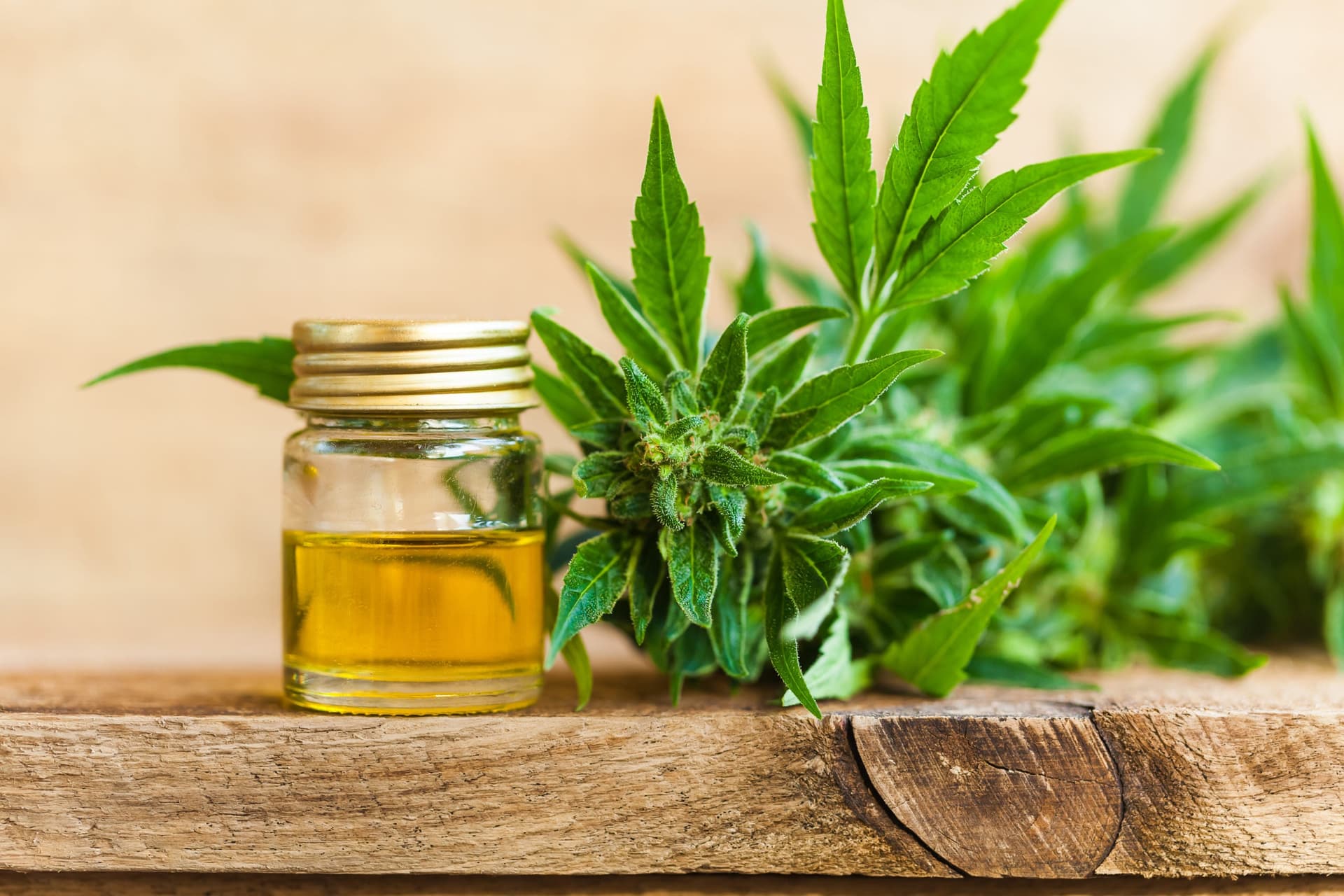 cbd oil expire