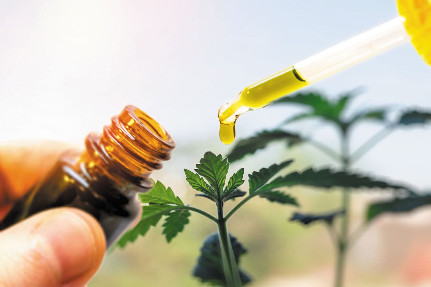 cbd myths