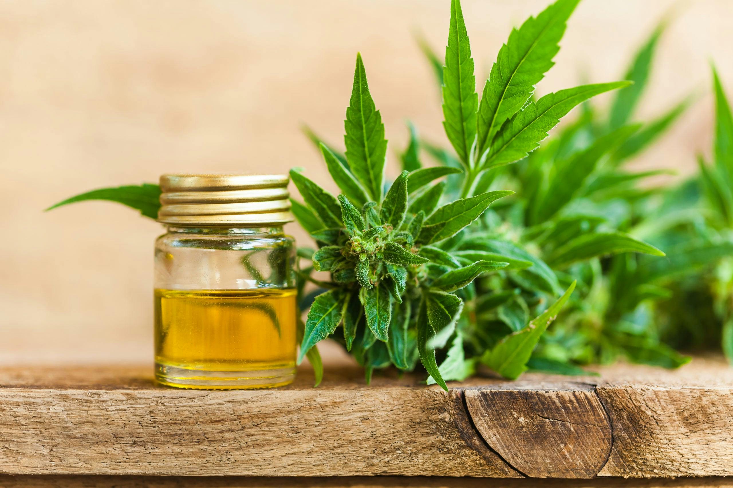 Does CBD Oil Expire? 8 Things to Know