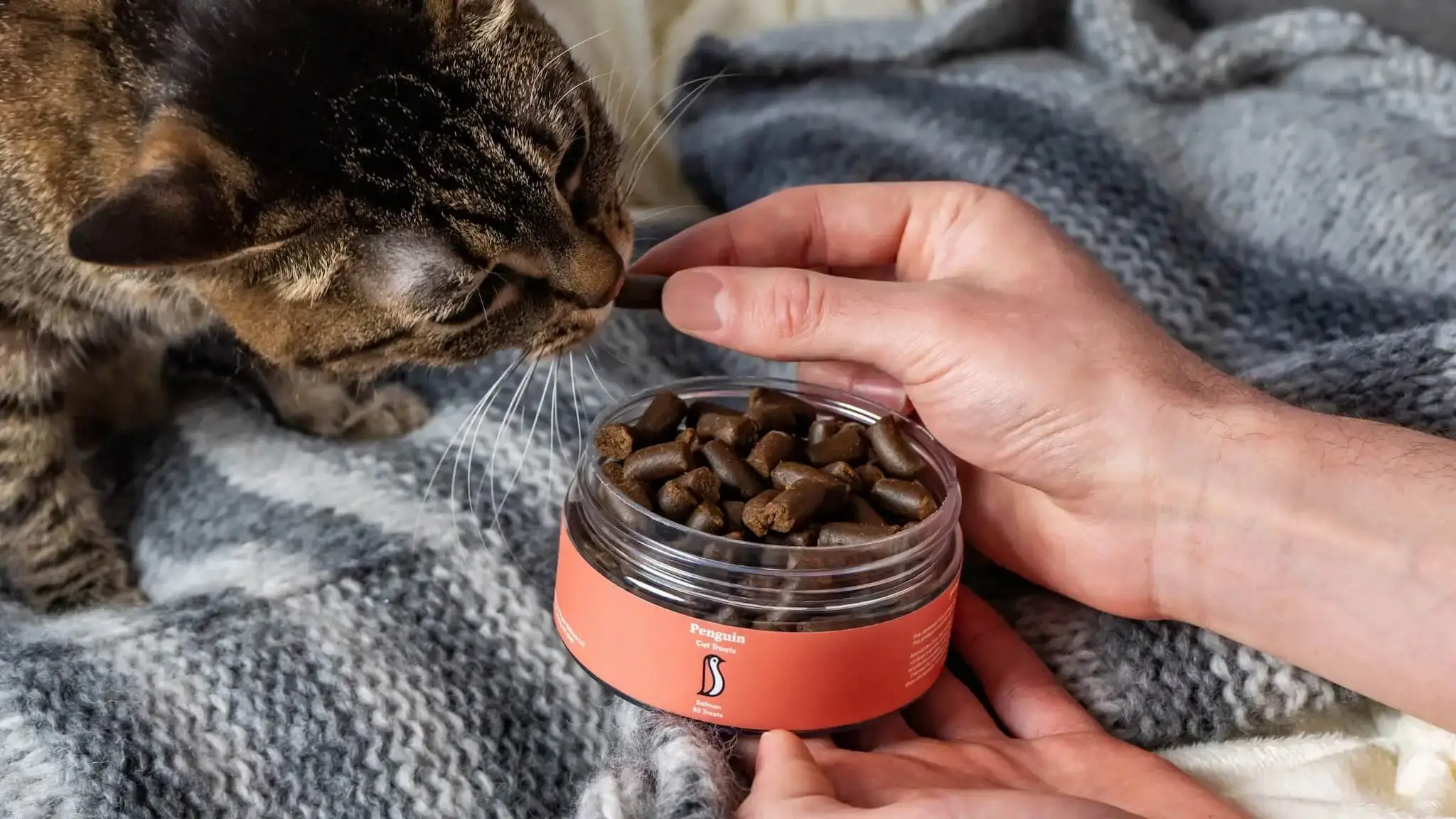 Penguin CBD | Top Benefits of CBD for Dogs and Cats