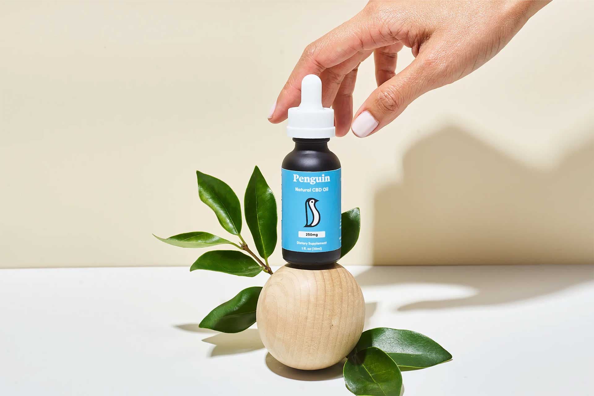 Penguin CBD | Suggestions