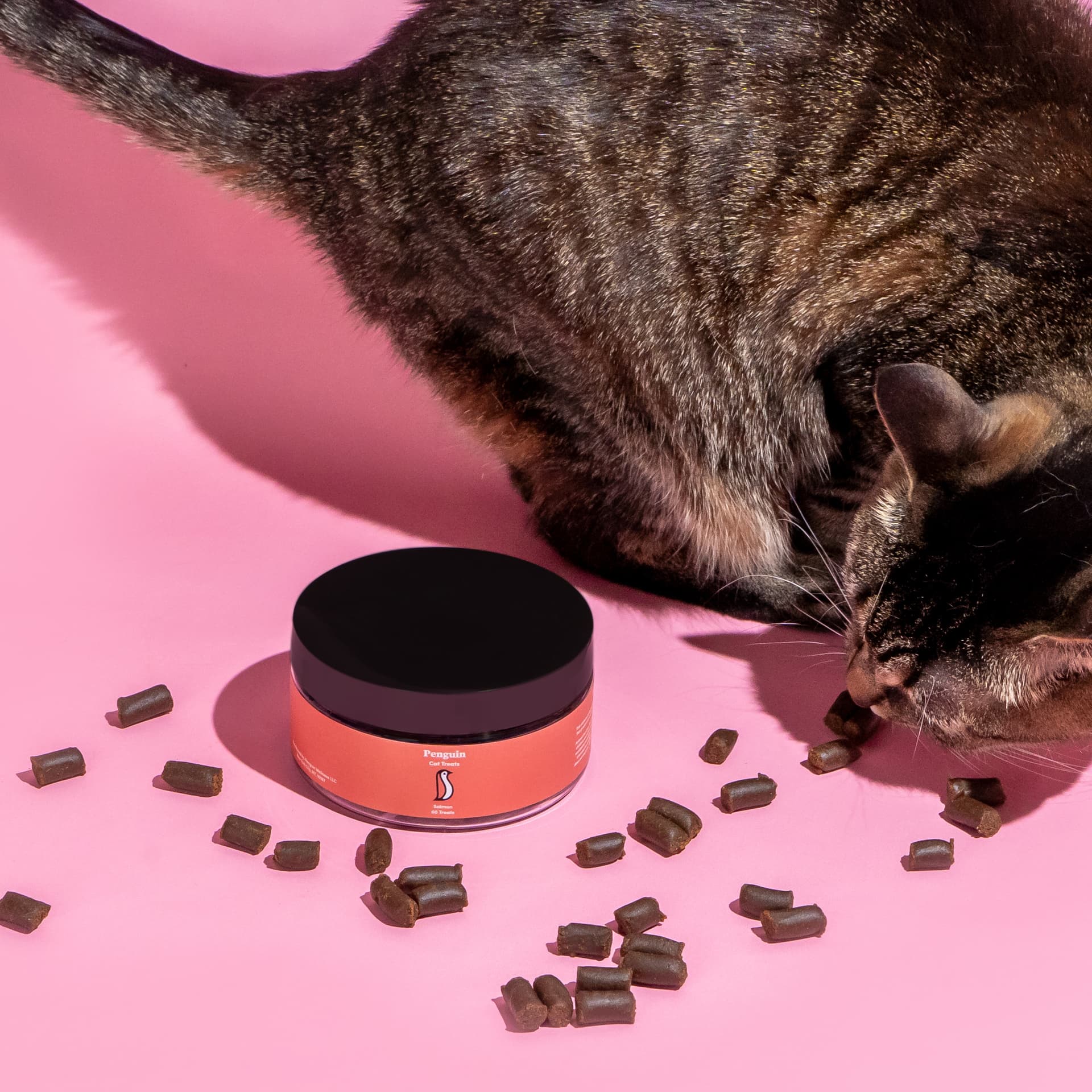 Penguin CBD | Benefits of CBD Cat Treats